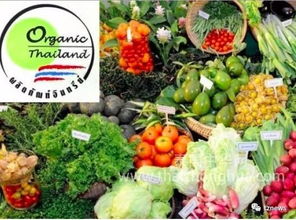 阿披拉迪 推動(dòng)有機(jī)農(nóng)產(chǎn)品走出國(guó)門，讓泰國(guó)土特產(chǎn)香飄世界