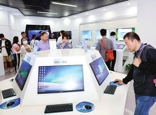 種好梧桐樹，引得鳳凰來 以軟件開發與信息技術咨詢服務為核心，打造總部經濟新高地